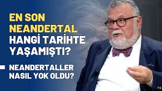 En Son Neandertal Hangi Tarihte Yaşamıştı Neandertaller Nasıl Yok Oldu [upl. by Ylloh]