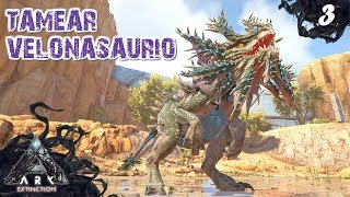 Tamear Velonasaurio solo  ARK EXTINCTION 3  Servidor Oficial PVE [upl. by Amorette]