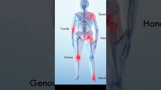 ANATOMIE 1 préparation concours EPS الاستعداد لمباراة التعليم تخصص التربية البدنية والرياضية [upl. by Idnim]