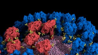 How Proteins Tilt and ‘Breathe’ on Flu Viruses  Headline Science [upl. by Lancaster329]