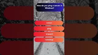 How to Ping a Server in Windows computerbasics [upl. by Raffarty919]