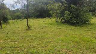 25 Acres of Agriculture Land for sale in Sakleshpur [upl. by Ylrebmit]