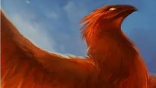 Know About Phoenix Bird [upl. by Leyla74]