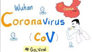 Novel Coronavirus 2019 nCoV 🦠 Outbreak 😷 Update  1 COVID19 [upl. by Oer]