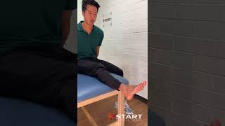 Fibularis longus ankle movement [upl. by Regan423]