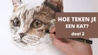 HOE TEKEN JE EEN KAT DEEL 2 ook voor beginners [upl. by Rehpotsirc826]