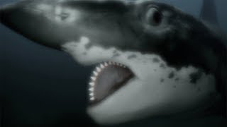 Helicoprion  Strangest Prehistoric Shark Facts [upl. by Eicirtap]