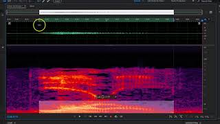 Laurel Vs Yanny  Spectral analysis by an idiot [upl. by Annorah]