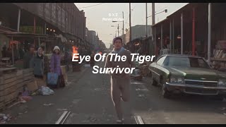 Eye Of The TigerSurvivor Letra en Español y Inglés [upl. by Aschim]