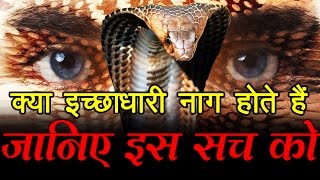 क्या इच्छाधारी नाग होते हैं जानिए इस सच को What is Ichchadhari Nagin [upl. by Ysteb942]