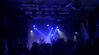 Isak Danielson  Desperate Guy Live  Rotown [upl. by Ackler736]