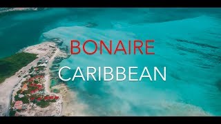 Caribbean  Bonaire Windsurfing SUP and Multi Sport Holidays with Sportif Travel [upl. by Nahsab]