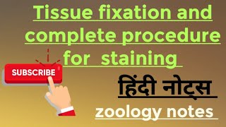 Tissue fixation and complete procedure for staining MSc zoology 2nd semester Hindi notes [upl. by Michaela502]