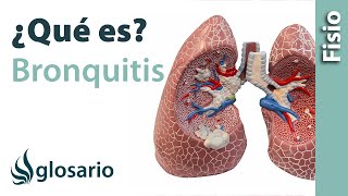 BRONQUITIS  Qué es qué estructuras afecta síntomas signos causas y tratamiento fisioterapéutico [upl. by Elatnahc]