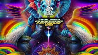 June 2023 Progressive Psytrance DJ Mix [upl. by Tye]