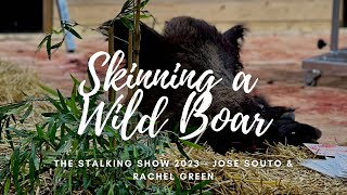 Skinning A Wild Boar by Jose Souto and Rachel Green at the Stalking Show 2023  HGC [upl. by Howlond]