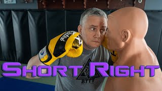 The Short Right Hand kickboxing boxing mma [upl. by Lancey]