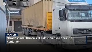 Israel sends 80 bodies of Palestinians to Gaza in a container [upl. by Nnaer]