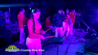 Nery Pedraza y los Guaraperos de la Cumbia 💥 Cumbia Pica Flor [upl. by Adliw137]