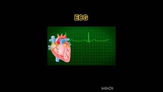 Electrocardiogram Electrocardiography ECGEKG  basics How to Perform an ECG  Electrocardiogram [upl. by Berners]