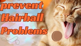 Vet Tips for Preventing Cat Hairballs [upl. by Bayless849]