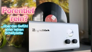 Degritter MK1  das Gefühl einer reinen Schallplatte  Ultraschall Plattenwaschmaschine [upl. by Hernardo967]