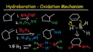 Hydroboration Oxidation Mechanism of Alkenes  BH3 THF H2O2 OH Organic Chemistry [upl. by Eerised]