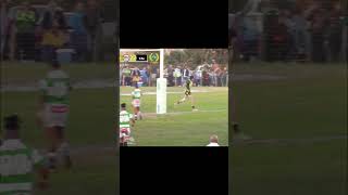 Safcol vs Caledon RFC 💛 💚 shorts youtubeshorts [upl. by Einnov677]