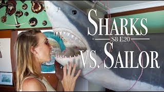 Sharks vs Sailors  SMLS S6E20 [upl. by Knox]