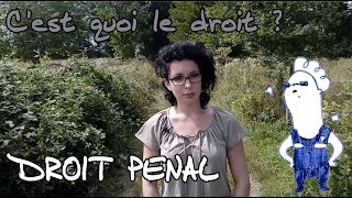 Droit pénal  Cest quoi le droit  4 [upl. by Taggart811]