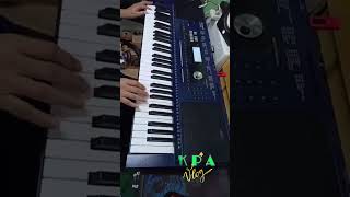 Roland E X30 Arranger Keyboard Style Test kpavlog [upl. by Ardnua461]