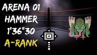 MHWIB PC Arena 01 Hammer vs Pukei 136quot30 ARank [upl. by Kiersten]