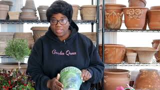 Dollar Tree DIY Hostesses Gift  Ranunculus Fertilizing  Vintage Aged Pots  Vlog Garden Queen [upl. by Roydd]