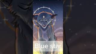 Firestar blue star Bramblestar Tigerstar котывоители еживика огнезвезд синяязвезда когтегрив [upl. by Kire]