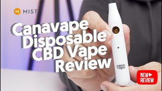 Canavape Disposable CBD Vape Review [upl. by Nwahsal696]