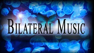 1 HR Bilateral Music Session  Relieve Stress Anxiety PTSD Nervousness  EMDR Brainspotting [upl. by Clovis]