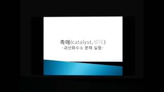 과학실험 촉매catalyst  과산화수소 분해 [upl. by Nallad294]