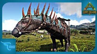 CARA MUDAH TAMING AMARGASAURUS  Ark Lost Island Indonesia [upl. by Auot447]