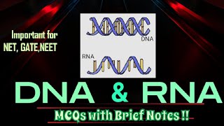 MCQ on DNA amp RNA [upl. by Bachman103]