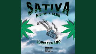 SATIVA [upl. by Nilesoj]