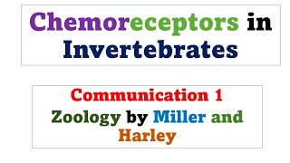 chemoreceptors  chap 24  zoology by miller and harley [upl. by Elraet]