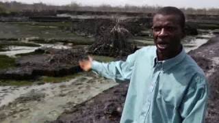 Niger Delta fish farmer remembers oil spill tragedy [upl. by Anaeel684]