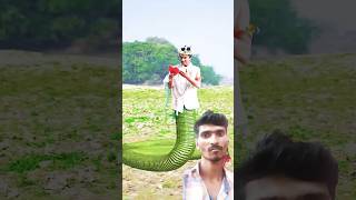 Dil hi chir ke Nikal Diya 🪔 comedy funny nagin emotional snake shorts [upl. by Ailemak46]