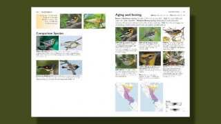 Introduction to The Warbler Guide [upl. by Olsen2]