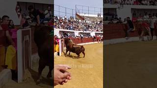 impresionante salida de TORO en Ciempozuelos [upl. by Procto]