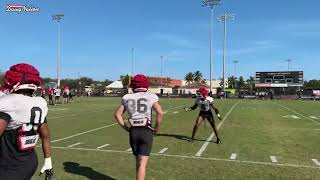 Georgia football team practice video from 2023 Orange Bowl [upl. by Maidy]