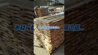 All sawmill used the Deale multi rip saw for joinery board finger connection board integrated etc [upl. by Burrill]