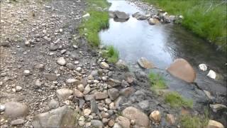 Willow Creek Hot Springs in Idaho [upl. by Anifled]