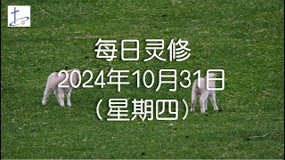 每日灵修2024年10月31日（星期四）腓立比书4章10至14节 English translation in description box [upl. by Eugen]