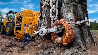 Increíbles Máquinas Pesadas Que Nunca Has Visto [upl. by Lehrer]